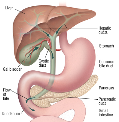 blog-image