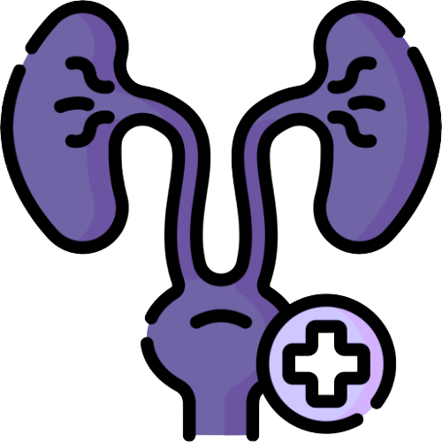 Urology Surgery