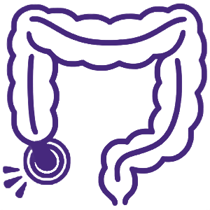 Appendix